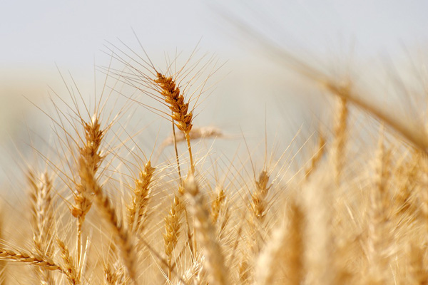 Simply Holistic Health & Wellness