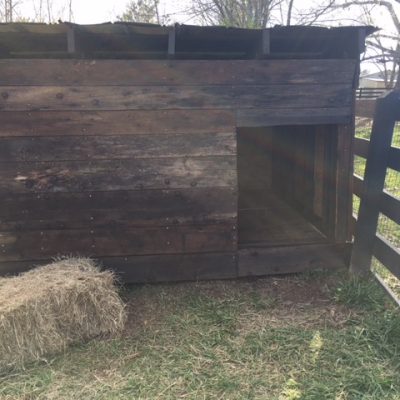 How To Build a Pigdiminium