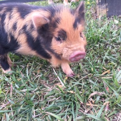 How To Move On After Loss